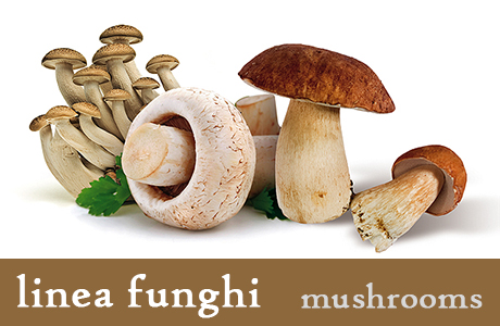 <h3>Tris di funghi</h3>
Mix di sapori dal gusto sopraffino. Una selezione di chiodini, funghi di Muschio e champignon che esalteranno i vostri secondi piatti.