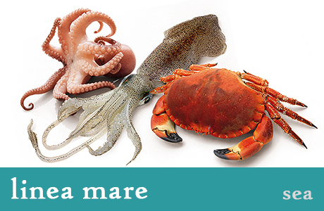 <h3>Insalata di Mare</h3>
Antipasto fresco dal sapore unico, ideale per una cena o un pranzo con poche calorie.