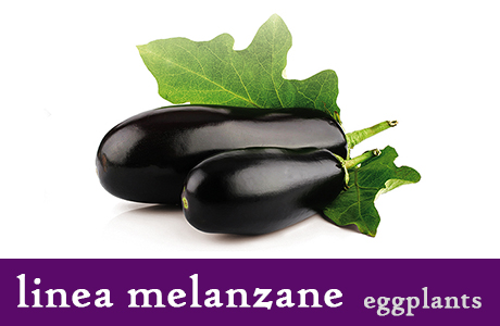 <h3>Melanzane a filetti</h3>
Il segreto del successo di questo prodotto e' la ricetta. Un'accurata scelta delle materie prime, ci permette di ottenere prelibate melanzane in olio. Con il loro gusto leggermente piccante sono l'ideale per rendere piu' appetitosi i secondi piatti.
<h3>Involtini di melanzane</h3>
Accurata selezione di melanzane che, ripiene di tonno, pomodori secchi e capperi, diventano un antipasto originale e sfizioso.