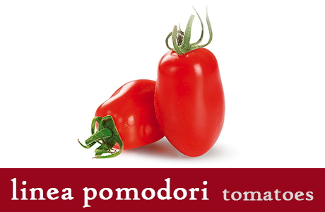 <h3>Pomodori Secchi</h3>
Uno dei prodotti che rappresenta meglio le ricette tipiche pugliesi. Essiccati al sole, Immersi in acqua e aceto per addolcirne il sapore, vengono successivamente speziati e conservati in olio. Il loro sapore intenso viene apprezzato in tutto il mondo. Ideali come aperitivo o come contorno da abbinare anche a formaggi di pasta dura.